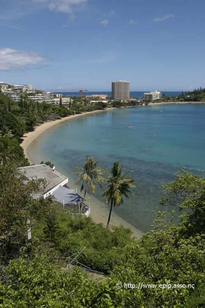 Baie des citrons