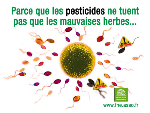 Le problème des pesticides en Nouvelle-Calédonie, introduction