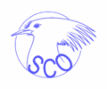 Devenez compteur d’oiseaux pour la SCO