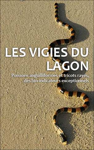 Les vigies du lagon…