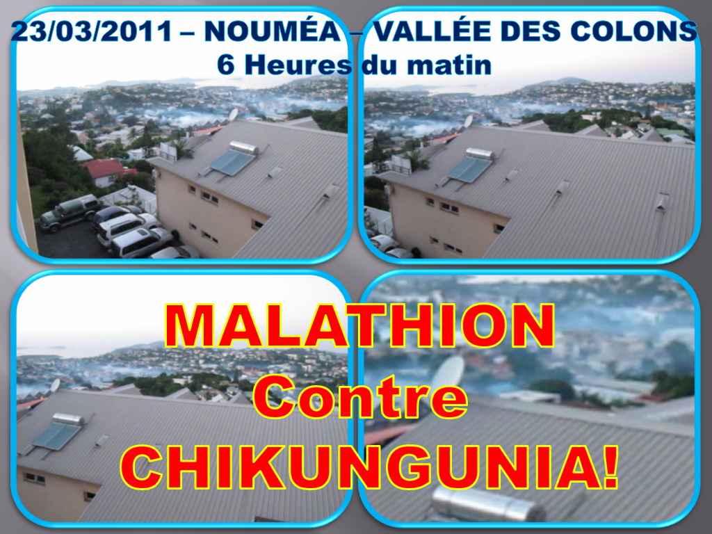 MALATHION contre CHIKUNGUNYA à NOUMEA