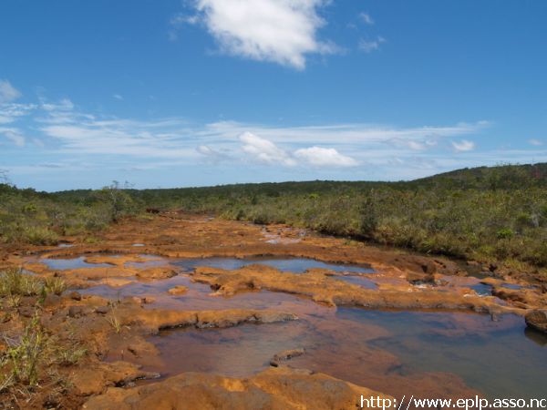 Préservation de la biodiversité – santé en Nouvelle-Calédonie