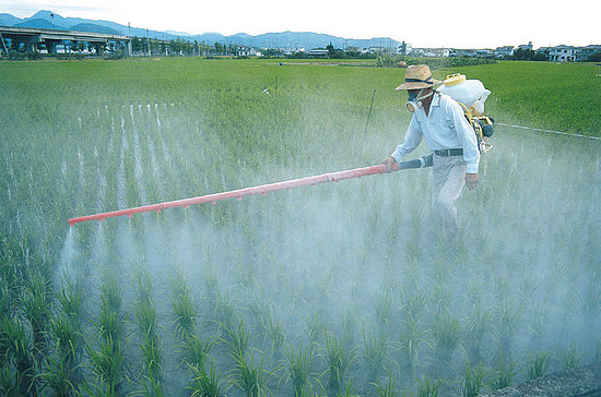 Règlementation des produits phytosanitaires à usage agricole : avis très défavorable des associations !