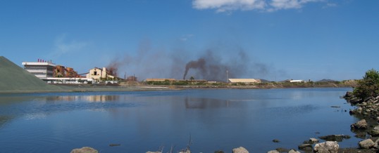 pétition internationale contre le projet de centrale à charbon de la SLN