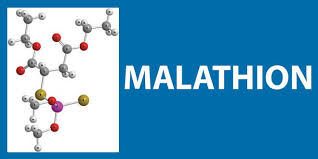 Malathion : En 2017,  c'est encore non pour EPLP !