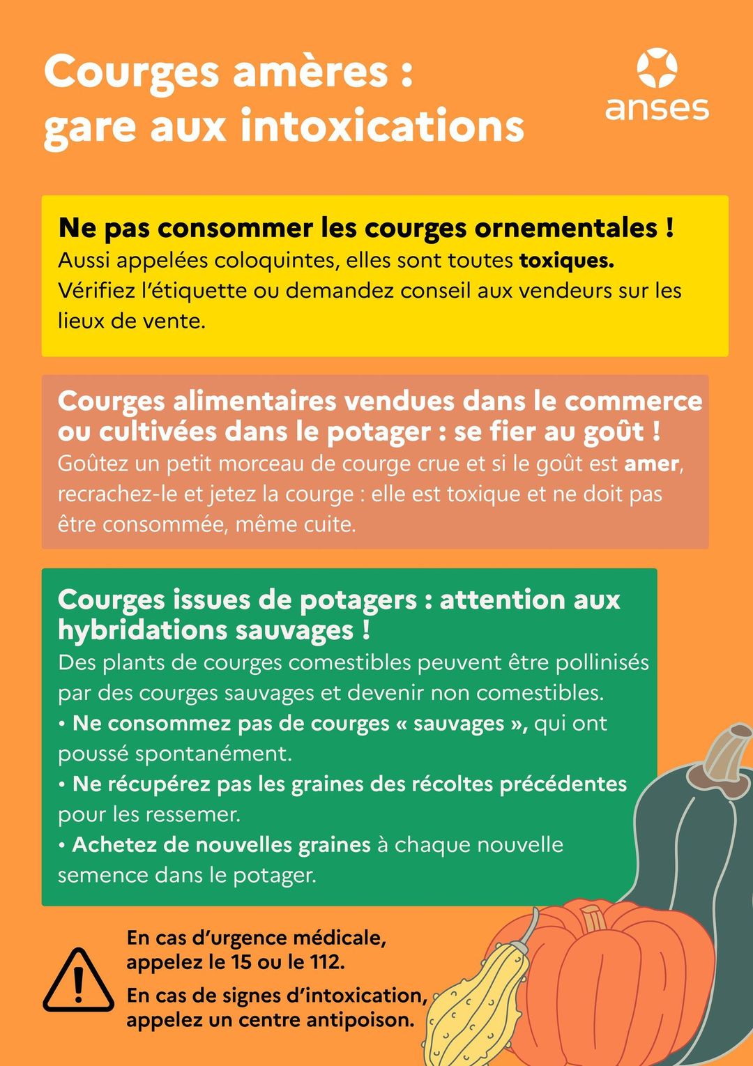 Alerte alimentaire locale, attention aux « courges » amères ! 